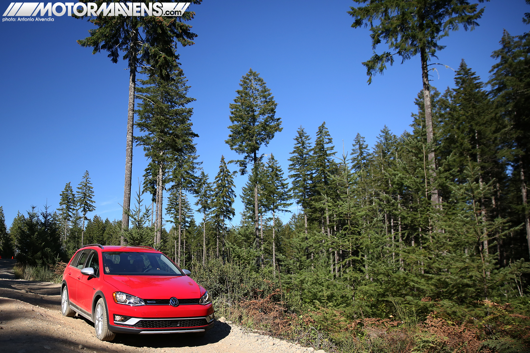 VW Golf. Golf Alltrack, Volkswagen, Sportwagen, VW, Tahuya State Forest, Elfendahl Trail, offroad